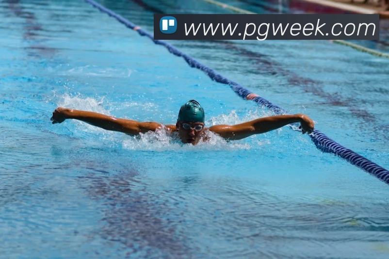 App Interface Preview